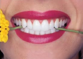 A woman with red lipstick holding a green toothpick in her mouth.